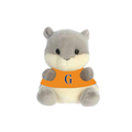 Gettysburg College Aurora Grey Squirrel Palm Pal