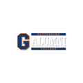 Gettysburg College Block G with Alumni Text 6" x 2" Vinyl Decal