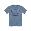 Gettysburg College Comfort Colors Short Sleeve Tee
